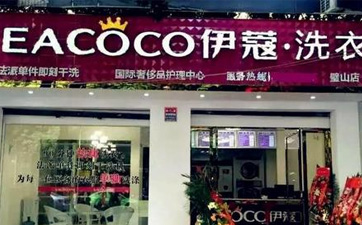 哪里學干洗技術？新手必看！